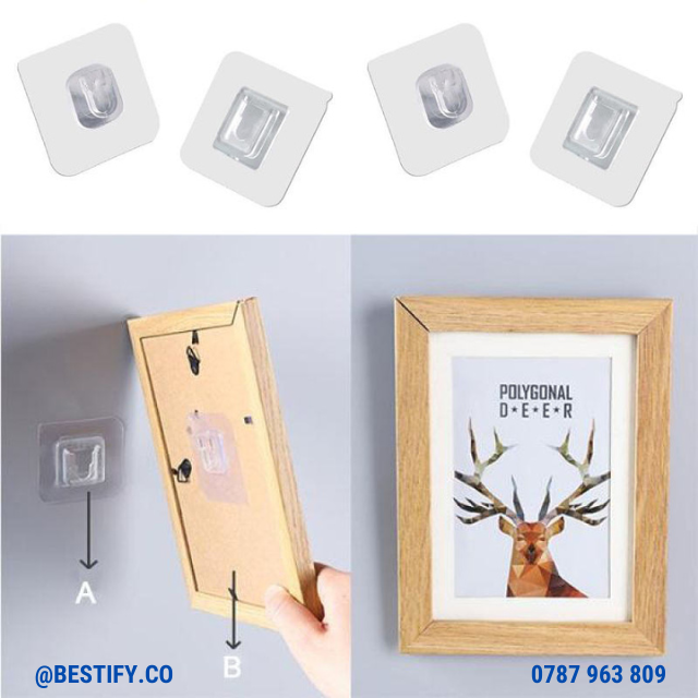 Bestfy™ Double-sided Adhesive Holders (vishikizi Pacha)
